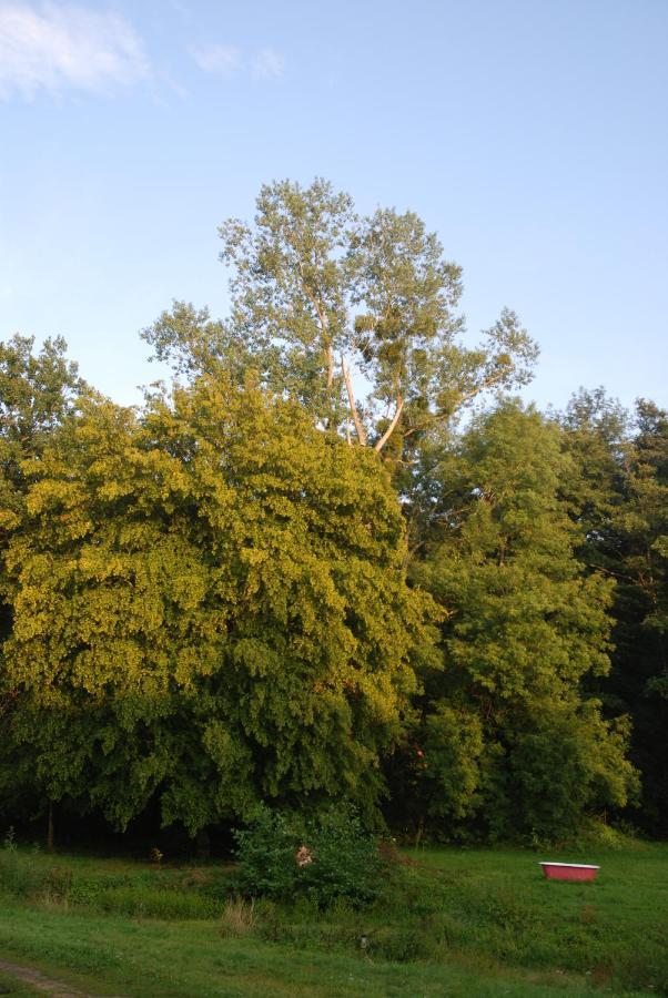 Moulin Des Arts Bed & Breakfast Beauvoir  Bagian luar foto
